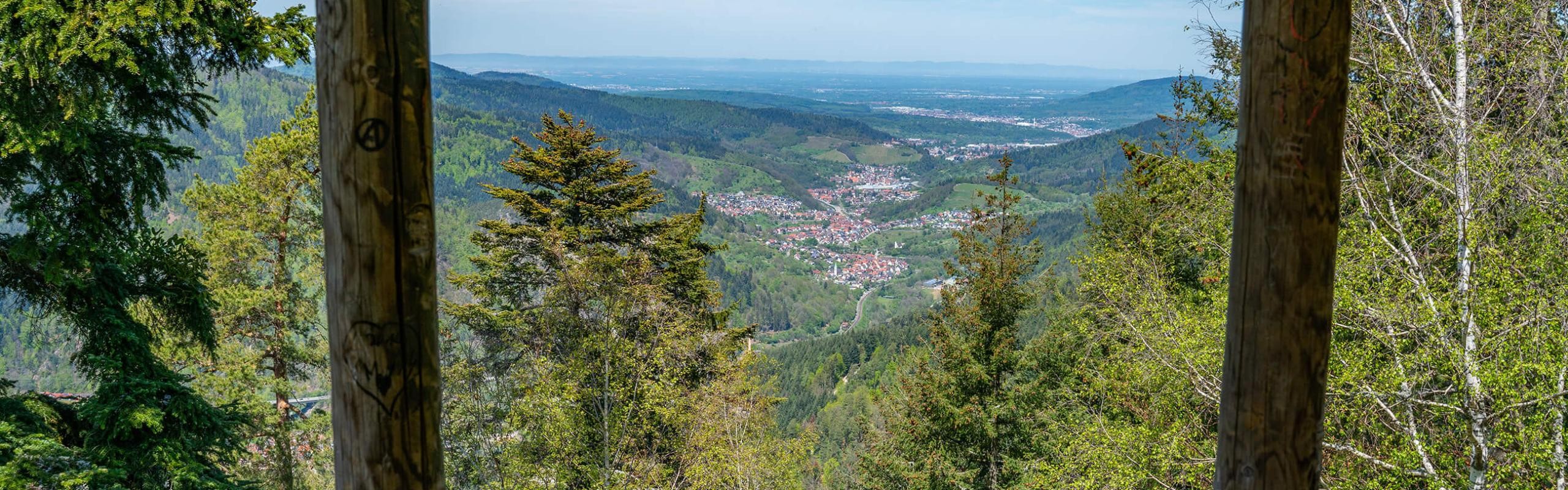 Ausblick vom Latschigfelsen, Forbach