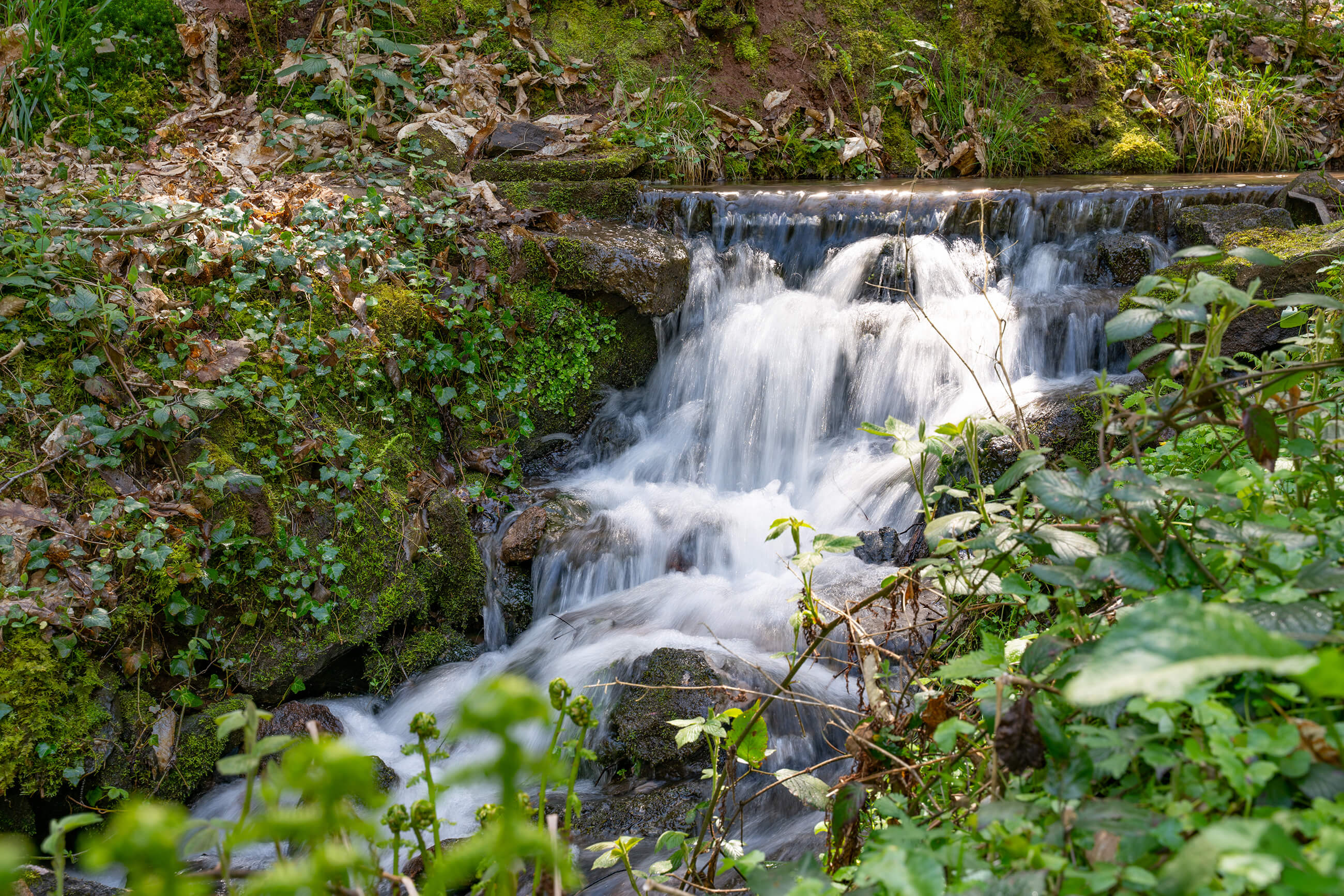 Etappe 1: kleiner Wasserfall am Wegesrand © Landratsamt Rastatt/Thorsten Günthert Etappe 1: kleiner Wasserfall am Wegesrand